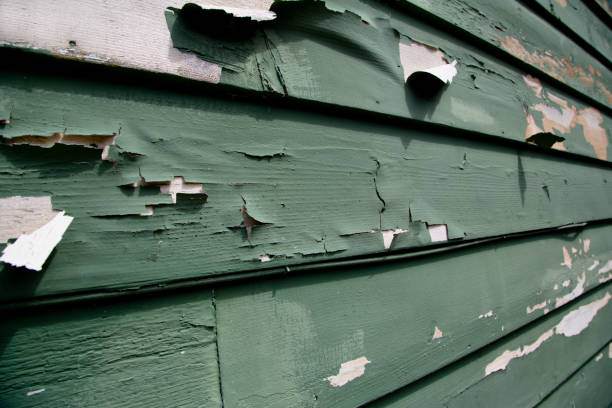 Trusted Lewisburg, OH Junk Removal Experts
